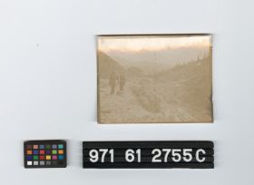 Image representing Print, Photographic.