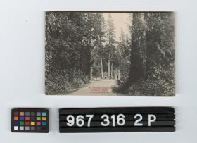 Image representing Postcard.