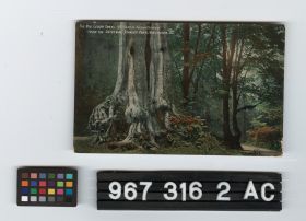 Image representing Postcard.