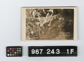 Image representing Postcard.