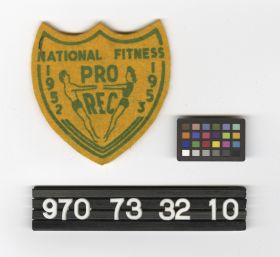 Image representing Badge, Insignia.