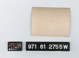 Image representing Print, Photographic.