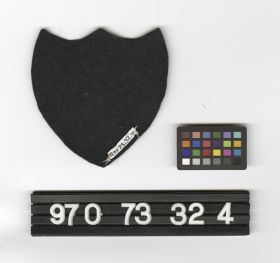 Image representing Badge, Insignia.