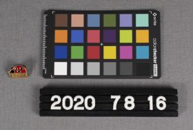 Image representing Pin, Lapel.