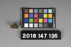 Image representing Pin, Lapel.