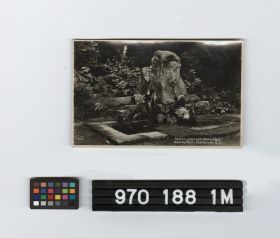 Image representing Postcard.