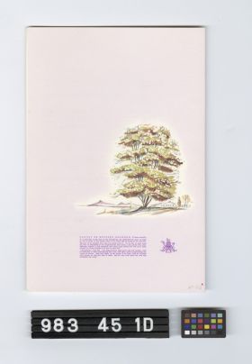 Image representing Programme, Souvenir.