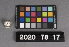 Image representing Pin, Lapel.