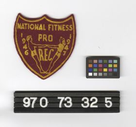 Image representing Badge, Insignia.