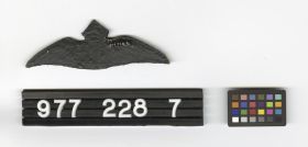 Image representing Wing, Pilot's.