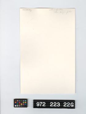 Image representing Prints, Photographic.