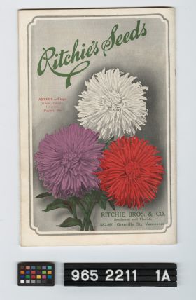 Image representing Catalogue, Seed.