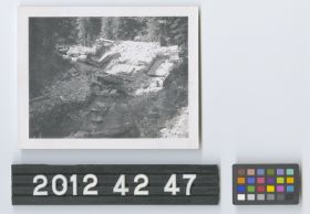 Image representing Print, Photographic.