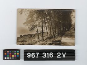 Image representing Postcard.