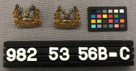 Image representing Badges, Collar.