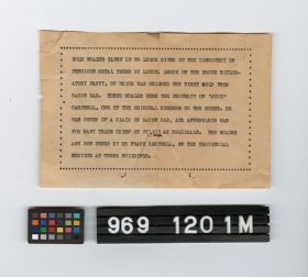 Image representing document.