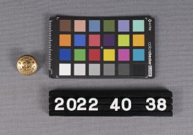 Image representing Button, Merchant Navy.