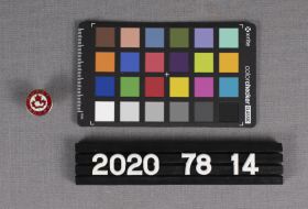 Image representing Pin, Lapel.