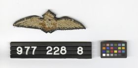 Image representing Wing, Pilot's.