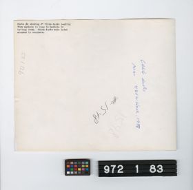 Image representing Print, Photographic.