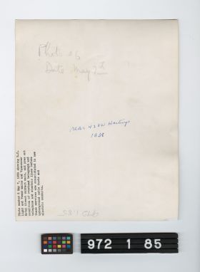 Image representing Print, Photographic.