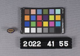 Image representing Pin, Occupational.