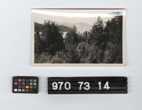 Image representing Print, Photographic.