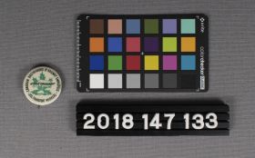 Image representing Button, Pinback.