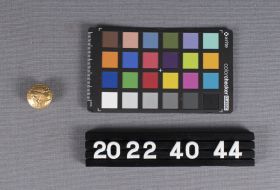 Image representing Button, Aviation.