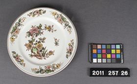 Image representing Plate, Dinner.