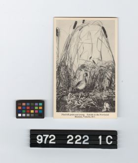 Image representing Postcard.