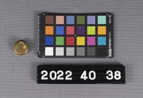 Image representing Button, Merchant Navy.