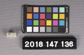 Image representing Lapel Pin.