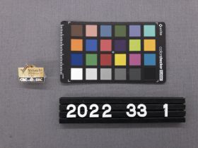 Image representing Pin, Lapel.