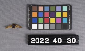 Image representing Pin, Military.