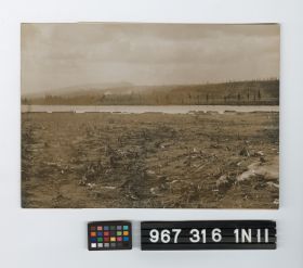 Image representing Print, Photographic.