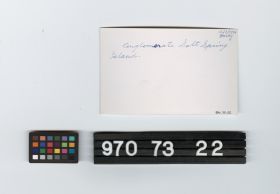 Image representing Print, Photographic.