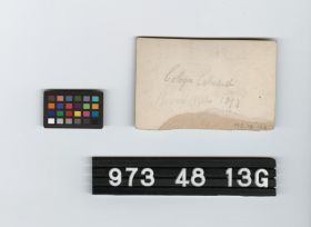 Image representing photographic print.