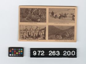 Image representing Postcard.