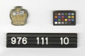Image representing Badge, Sleeve.
