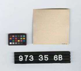 Image représentant beer bottle label