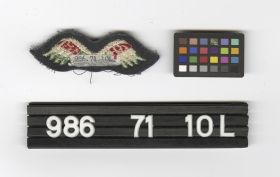 Image representing Badge, Insignia.