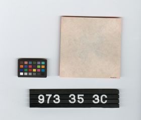 Image représentant beer bottle label