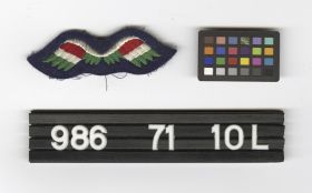 Image representing Badge, Insignia.