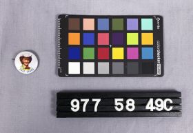 Image representing Button, Promotional.