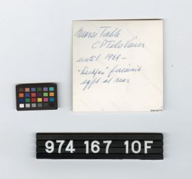 Image representing photographic print.