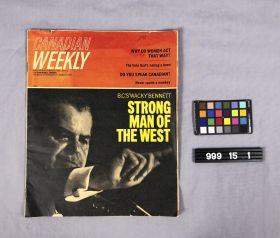 Image representing Insert, Newspaper.