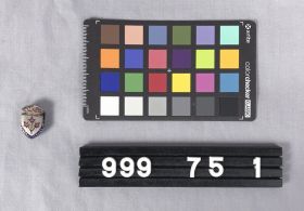 Image representing Pin, Lapel.