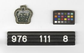 Image representing Badge, Sleeve.