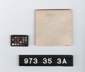 Image représentant beer bottle label